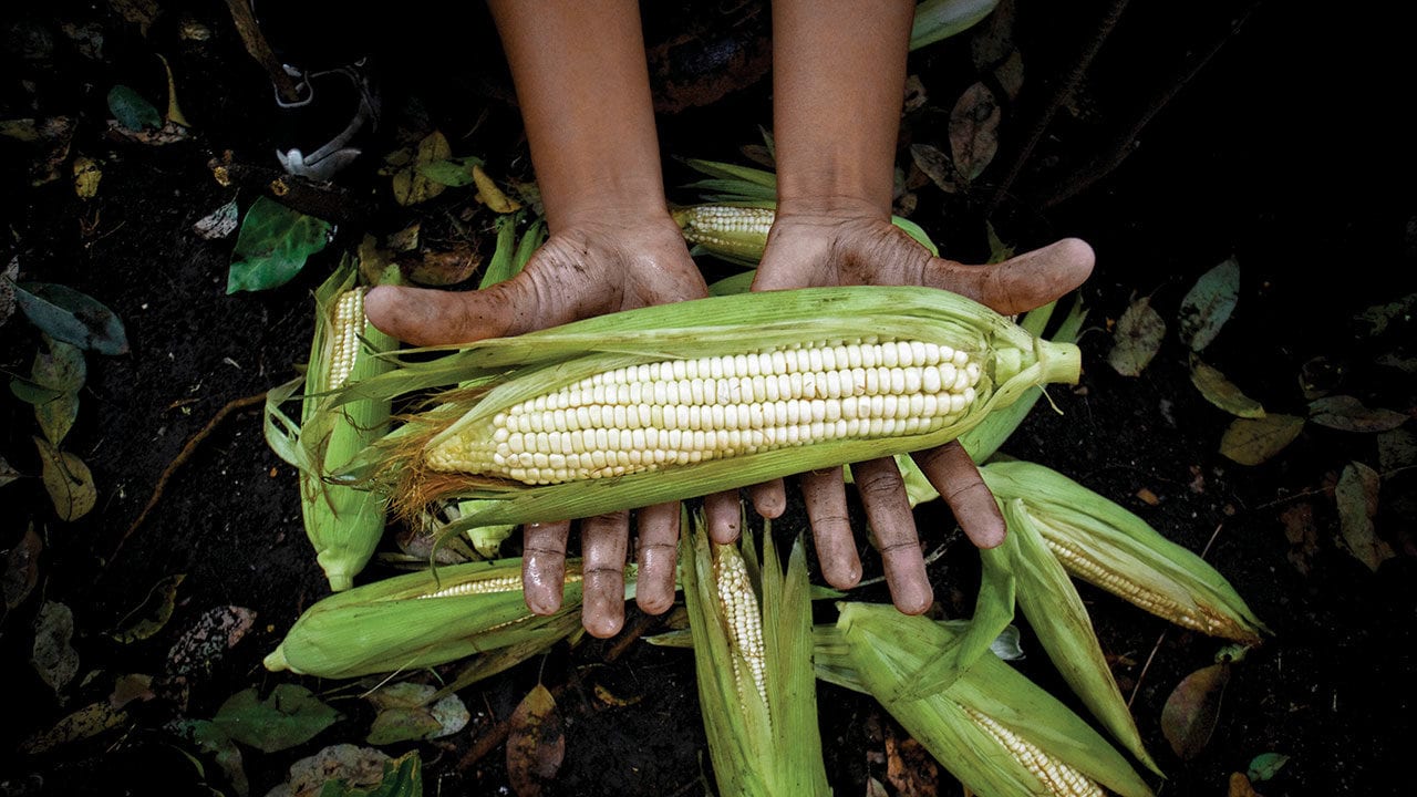 Extinción de Financiera Rural dejaría sin crédito a pequeños y medianos productores: CNA