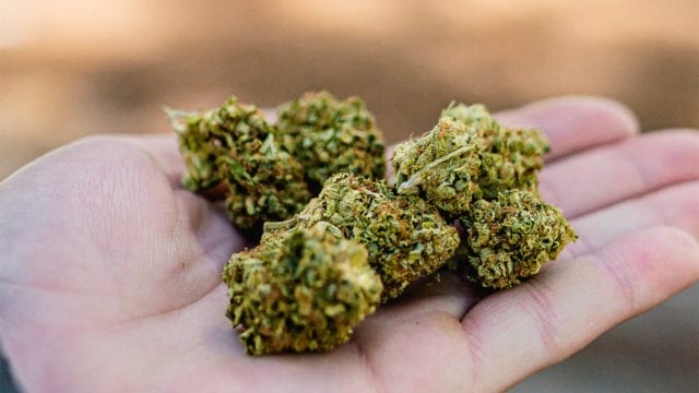 Movimiento ayuda a usuarios de marihuana a obtener permiso de consumo