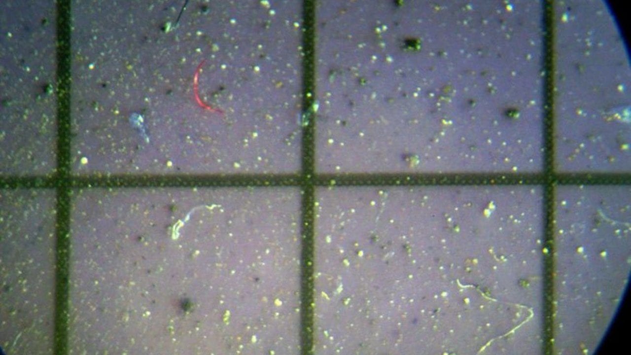 Estudio afirma que los nanoplásticos se fijan a las células y podrían impulsar metástasis