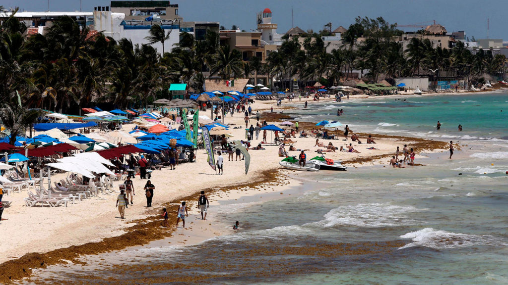 La llegada masiva de sargazo comienza en las costas mexicanas de Quintana Roo