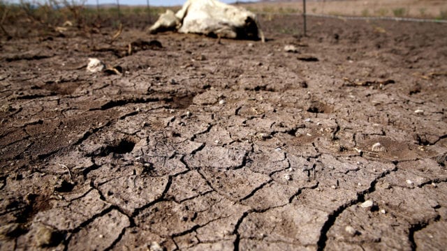 La sequía golpea al agro mexicano y anticipa una menor producción