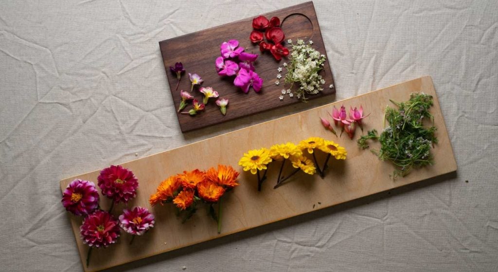 Flores comestibles: un regalo de México para el mundo