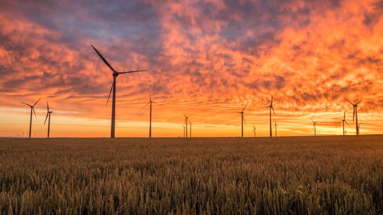 ONG da a conocer a los 100 latinos más comprometidos con el medio ambiente en 2022