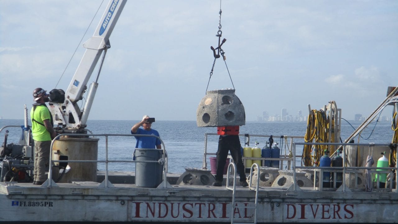 Marinos mercantes denuncian persistente competencia desleal en servicios de cabotaje en el Golfo de México