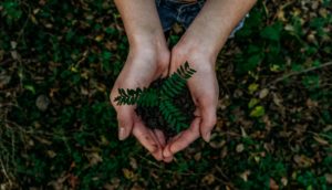 Impacto ambiental