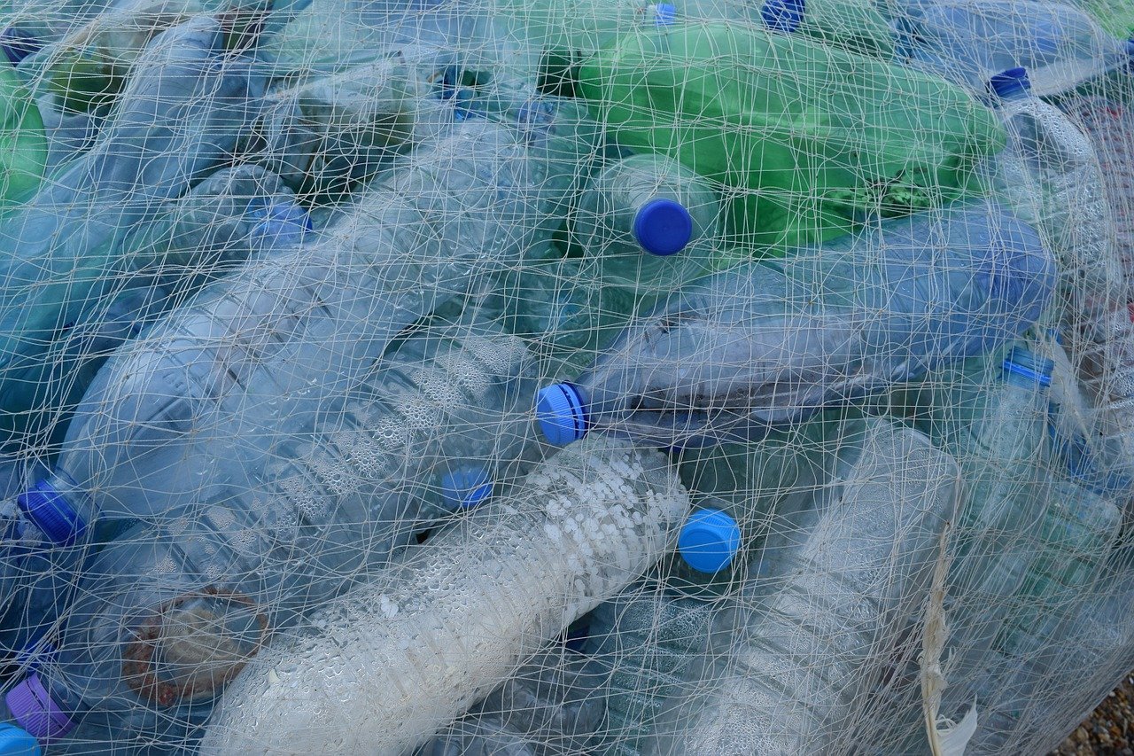 botellas plástico