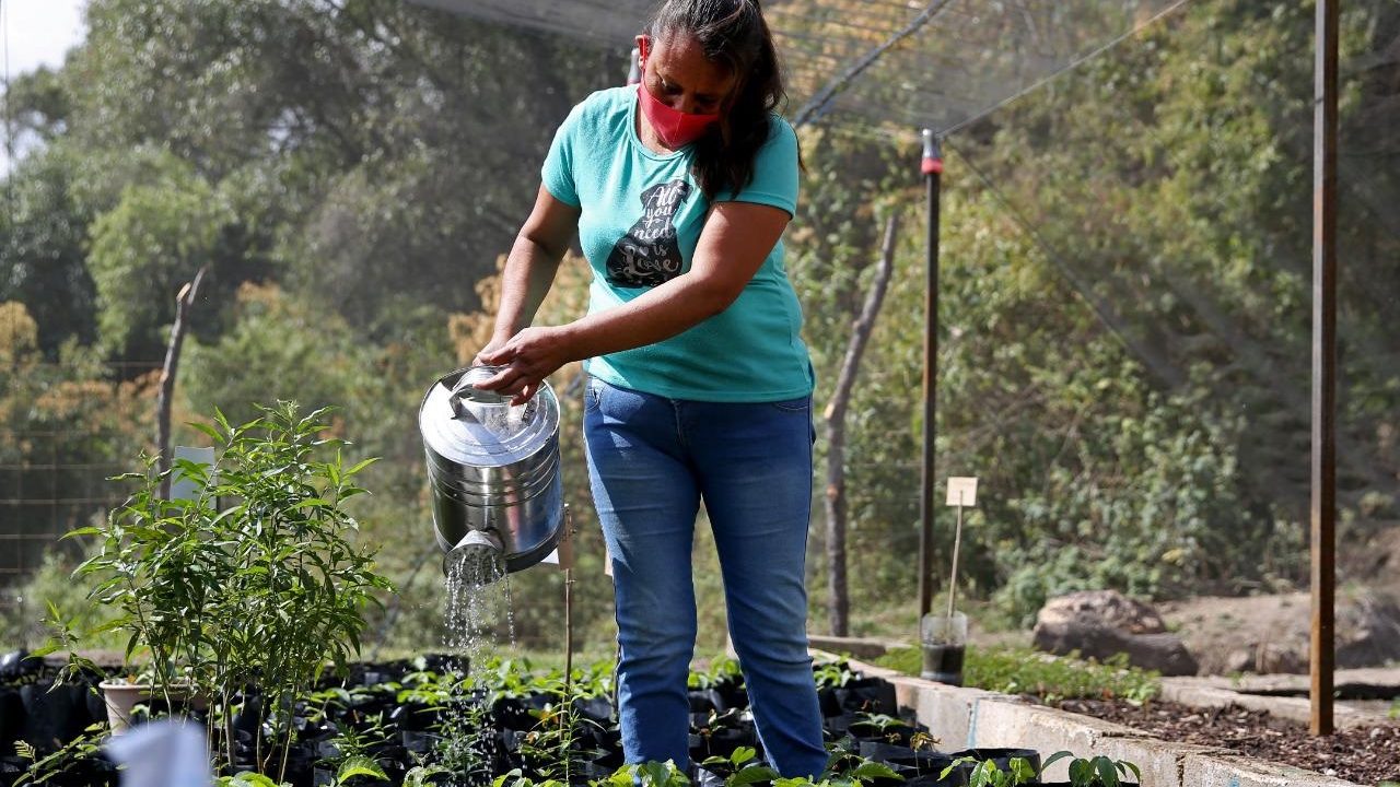 Fracking pone en riesgo a 38 mil productores de Sembrando Vida y más agricultores