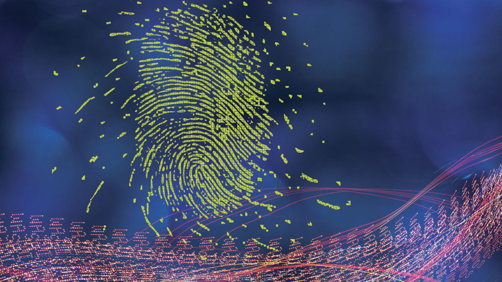 Ciberseguridad el año de los expertos (P-W-pág.52-55)