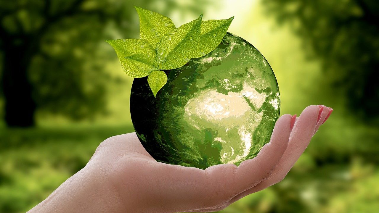 La Ecoinnovación, el desarrollo del futuro