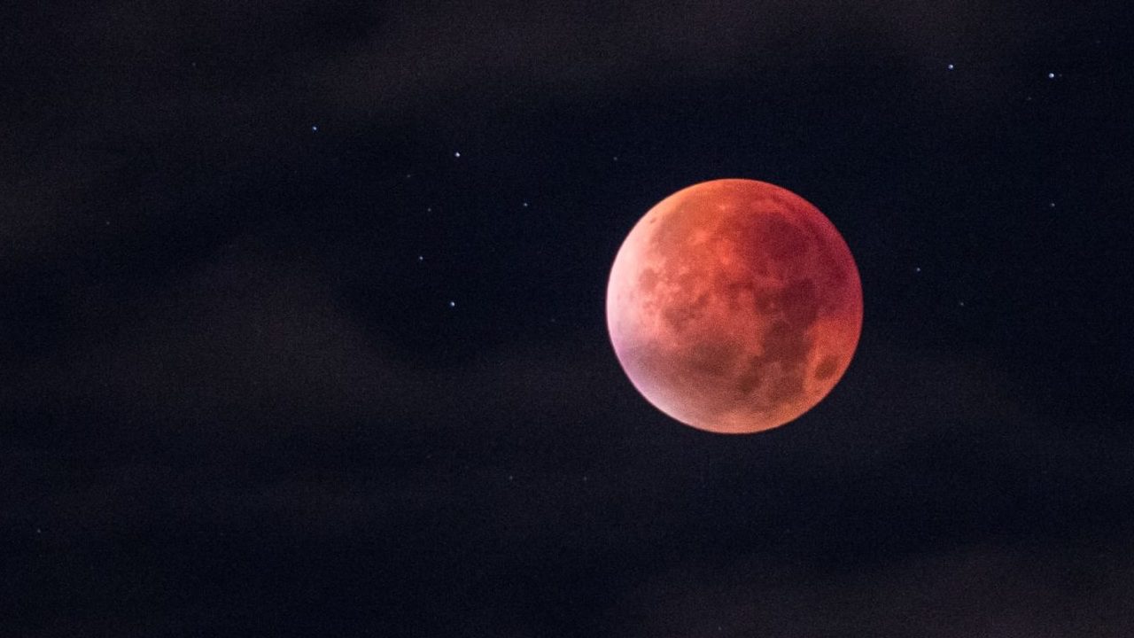 Selección 2022 | Proyecto Colmena: con microrrobots y más, México acompaña el regreso a la Luna