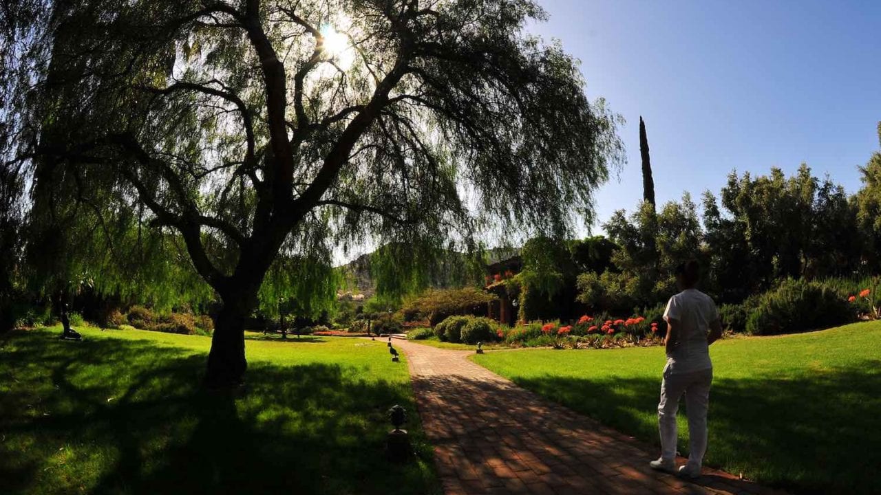 Experiencias wellness, el secreto mejor guardado de Baja California