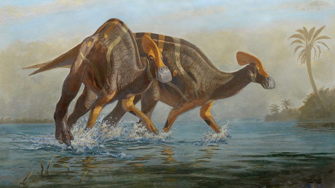 Paleontólogos identifican una nueva especie de dinosaurio en Coahuila
