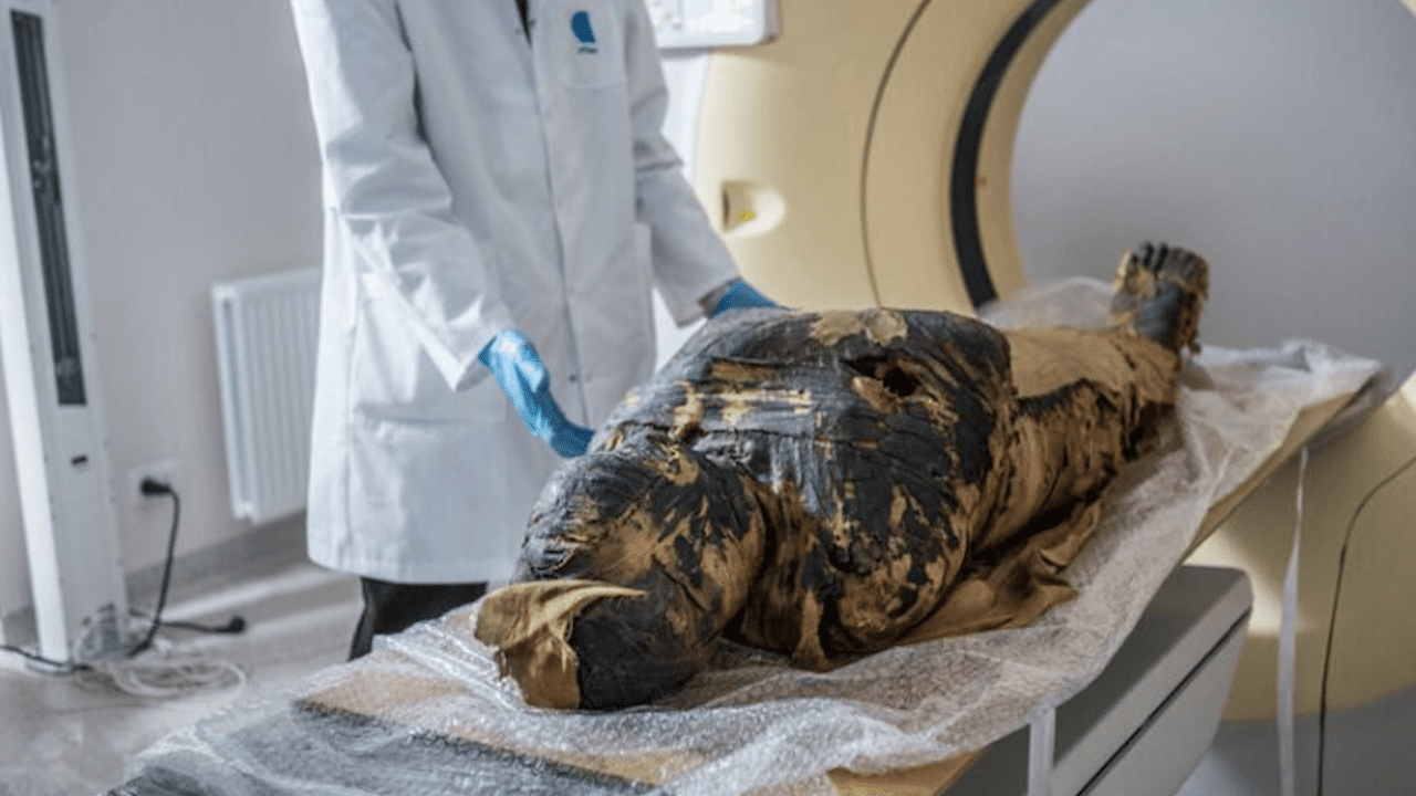 Investigadores descubren la primera momia egipcia embarazada del mundo
