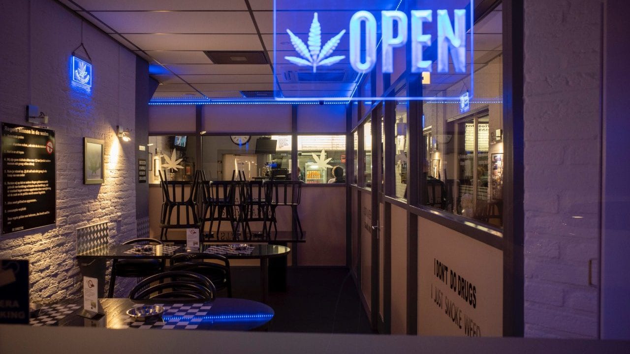 Cannabis medicinal: el modelo de negocios