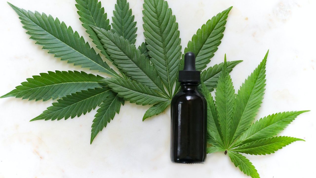 Este es el valor de dispensar cannabis medicinal en farmacias