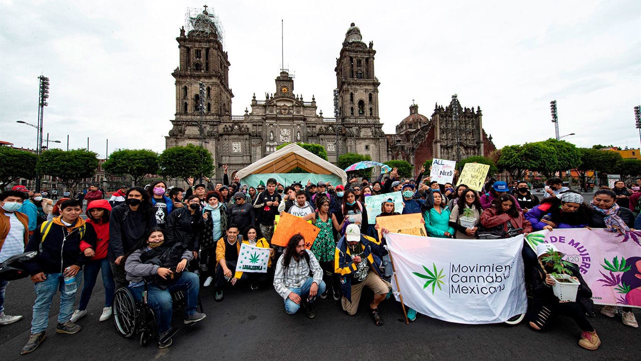Legalización del cannabis en México y su impacto en el crimen organizado