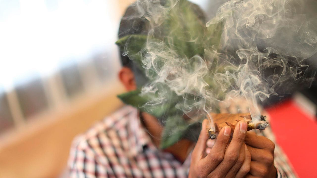 Retos para el futuro del cannabis