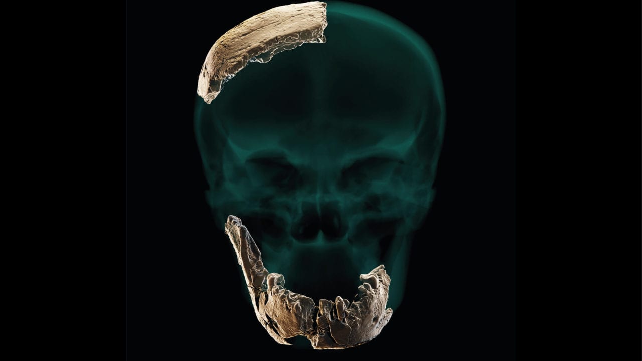 Descubren nuevo antecesor del humano: Homo Nesher Ramla
