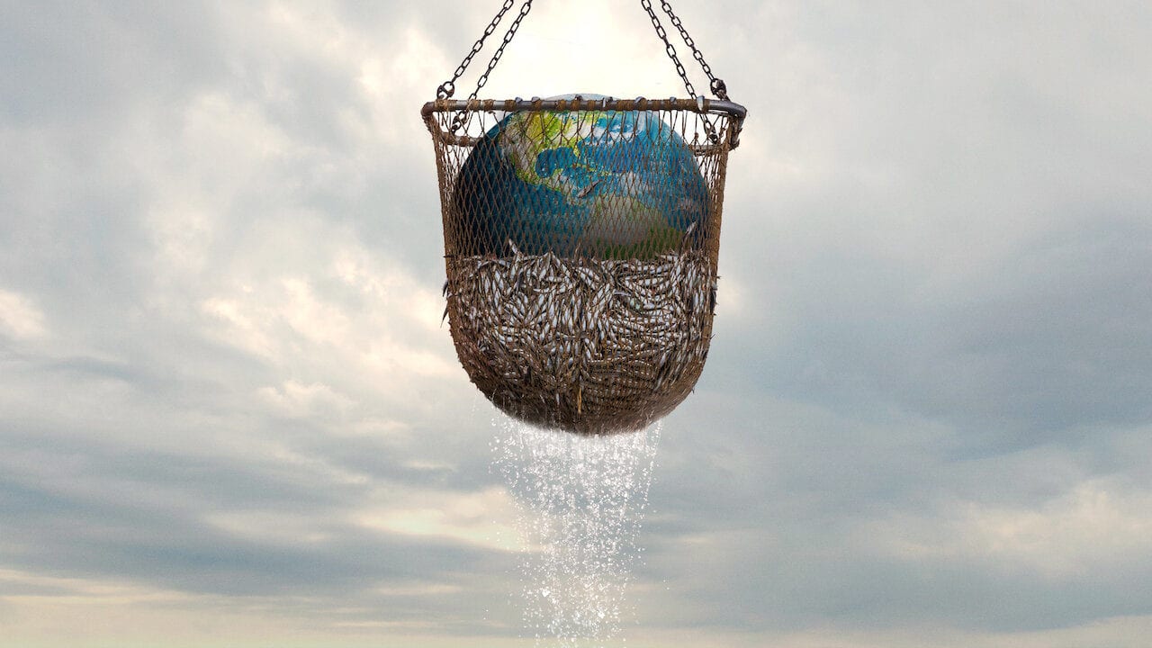 El plástico es menos dañino que la pesca comercial, relata documental