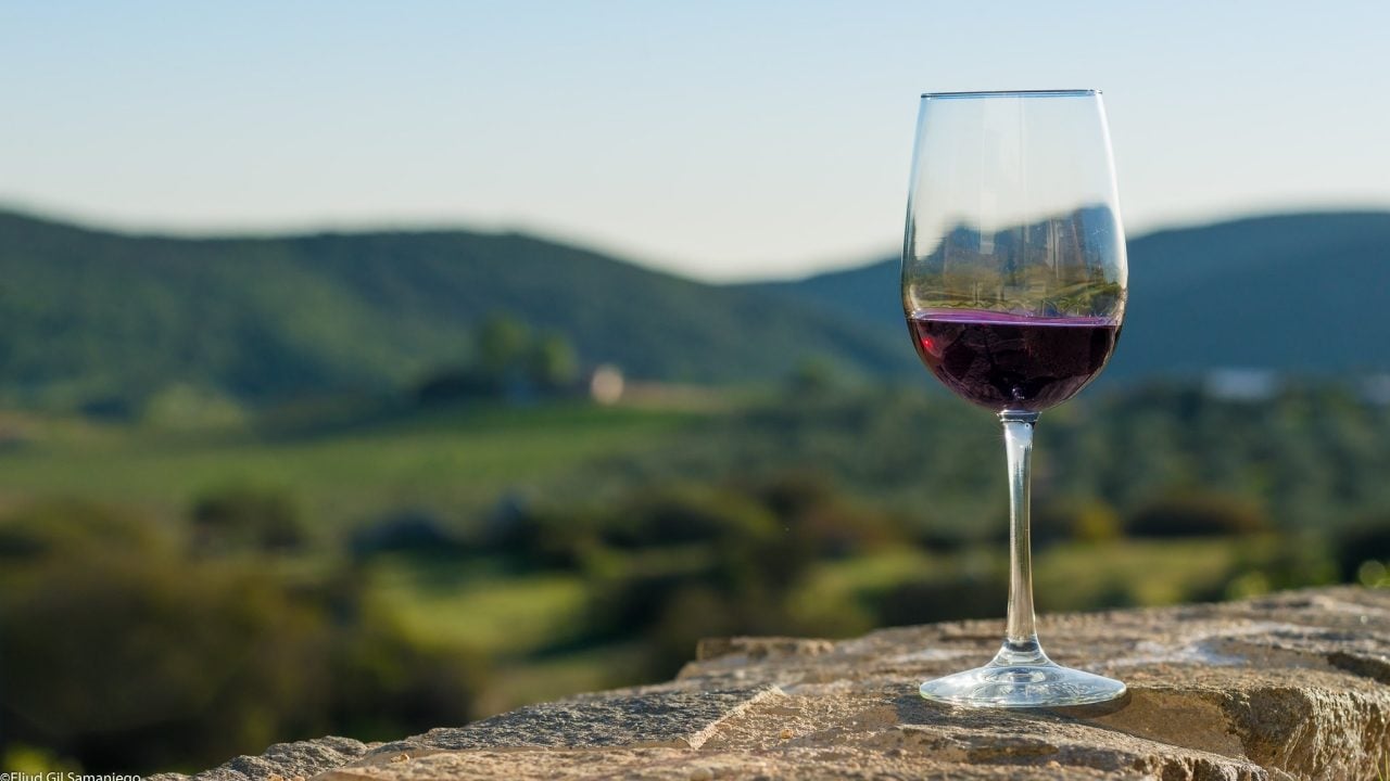 Producción mundial de vino caerá por problemas climáticos en Europa