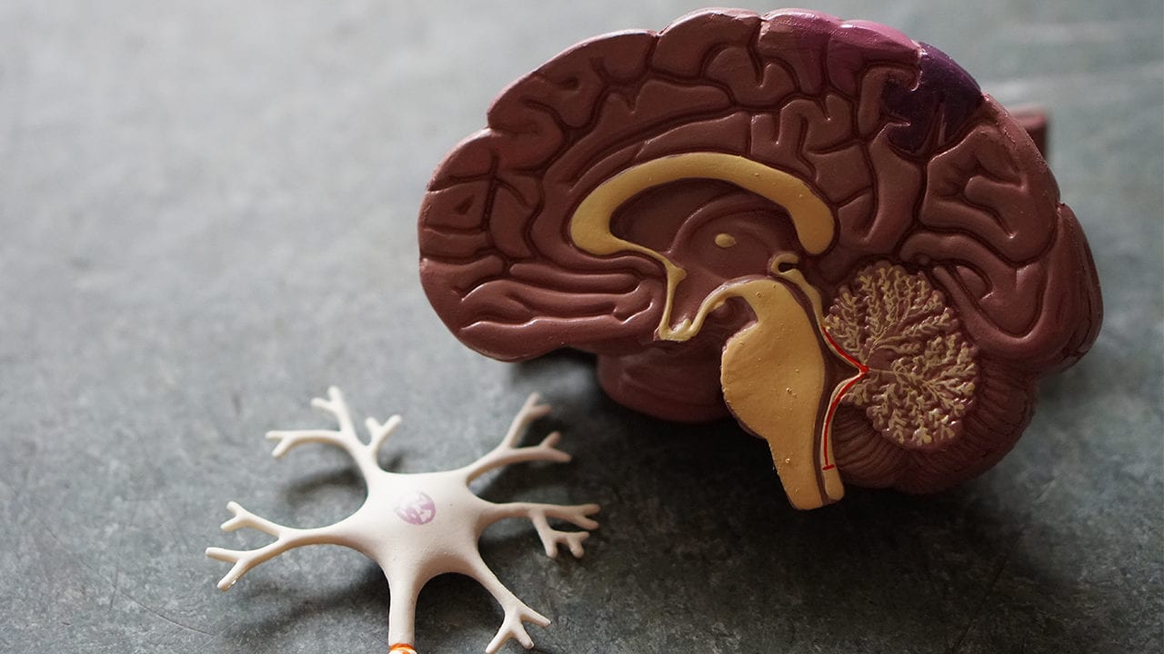 El riesgo de desarrollar alzheimer crece entre los mayores con Covid: estudio