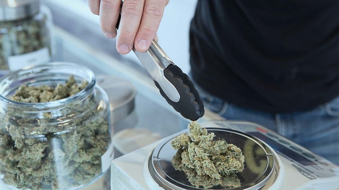 ¿Qué permite y qué prohibe el fallo de la SCJN sobre la mariguana?