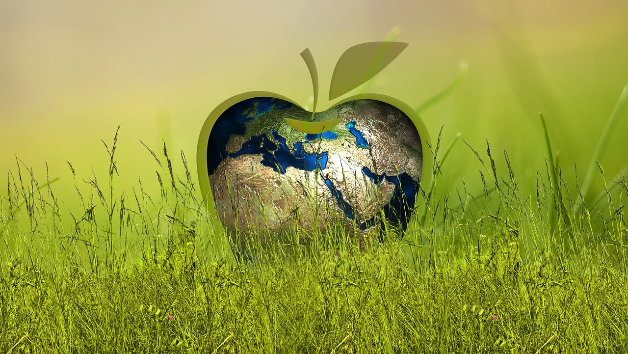 Consumo responsable: La única alternativa para salvar al planeta