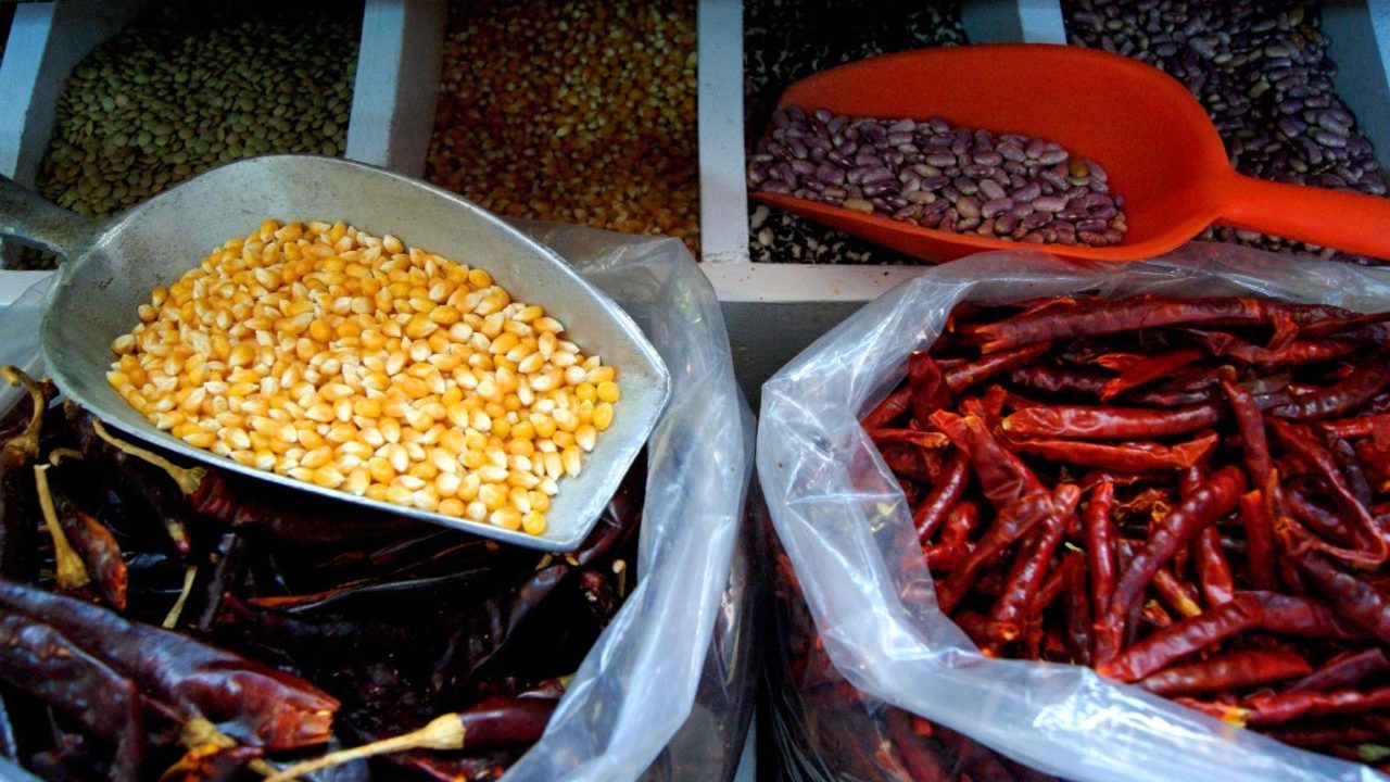 Balanza agroalimentaria de México tiene uno sus mayores saldos en 27 años