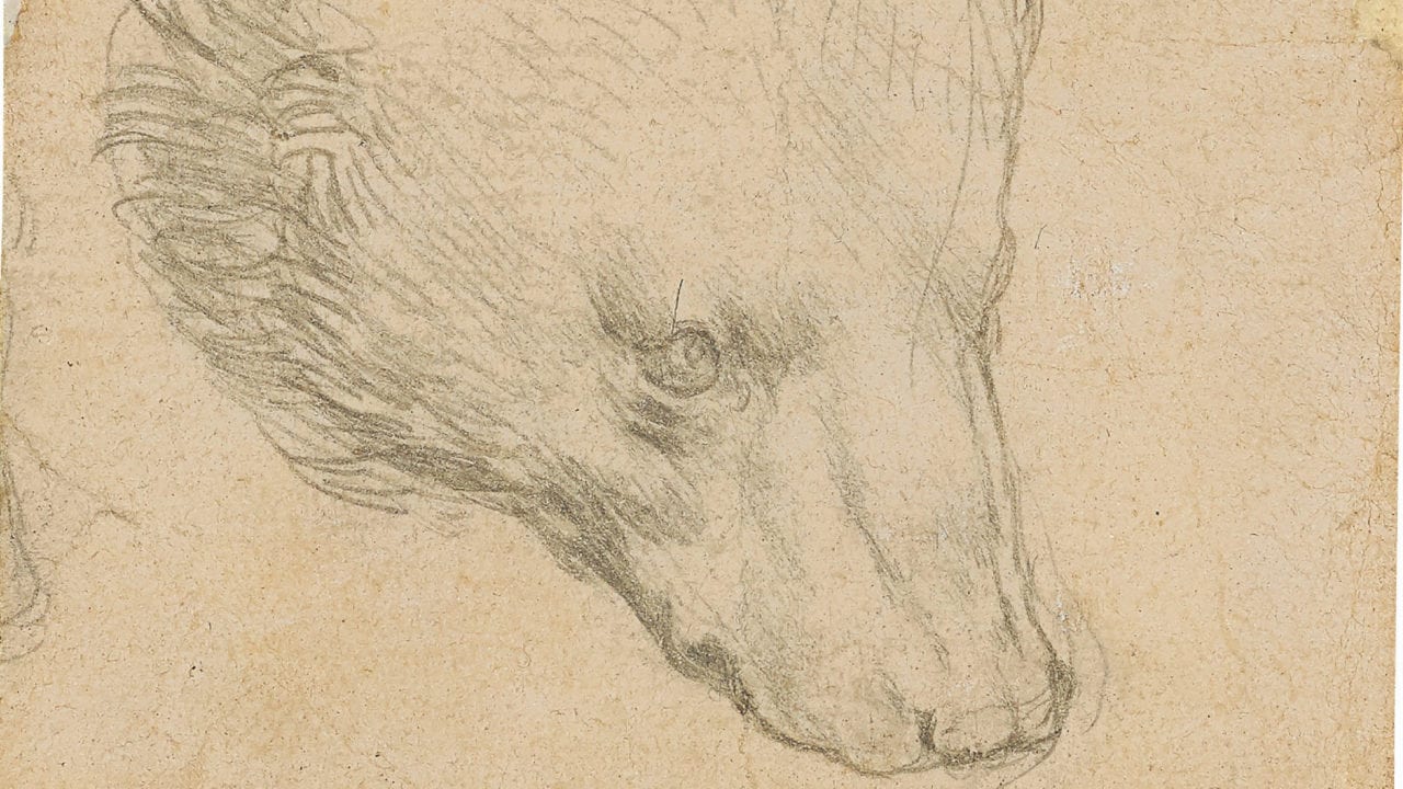 Subastan boceto de oso de Da Vinci por un récord de 12.2 mdd