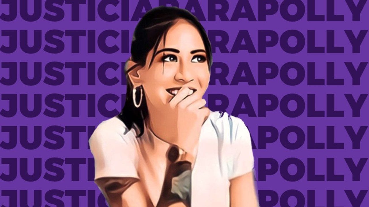 Fallece Polly a 3 semanas de haber sido atropellada intencionalmente