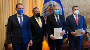 PAN PRI PRD OEA
