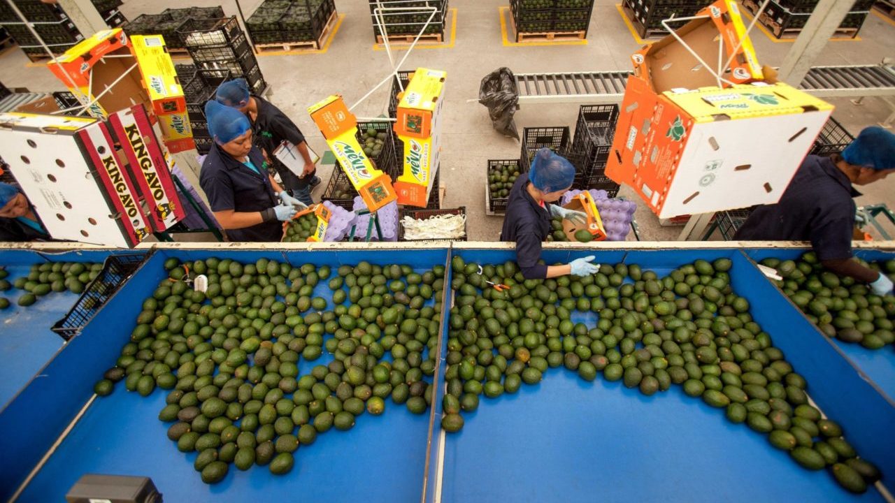 Nubarrones en el escenario agroindustrial oscurecen la independencia alimentaria