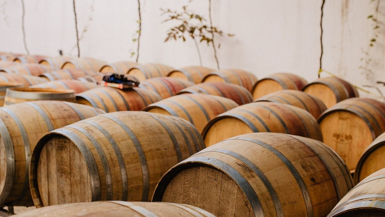 Esta vinícola invertirá 1,500 mdp; busca denominación de origen del vino mexicano
