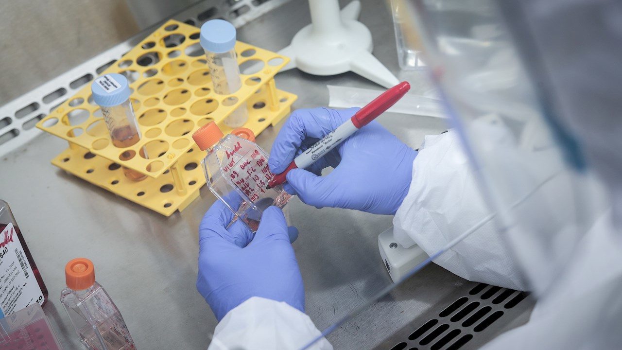 Laboratorio en Brasil desarrolla vacuna para variantes Gama y Delta
