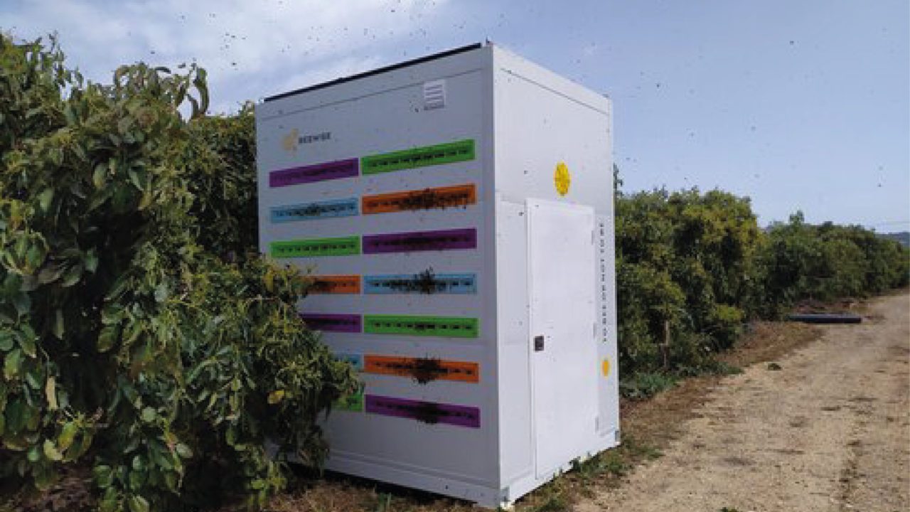Abejas se refugian del peligroso mundo en una colmena robótica
