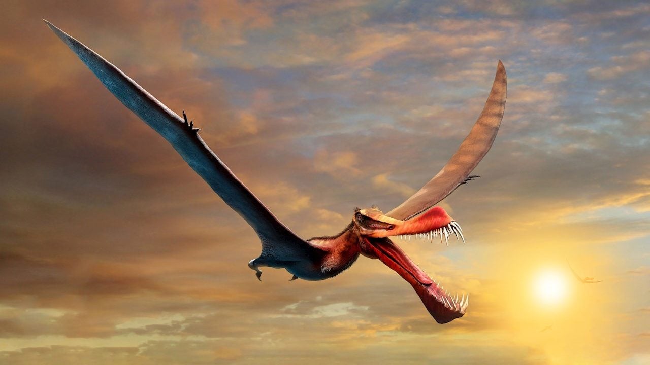 ¿Cómo se llama el dinosaurio volador más grande?