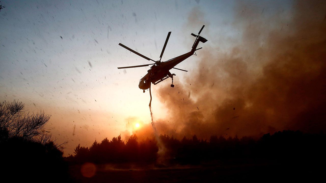 ONU alerta amenaza por contaminación acústica e incendios forestales