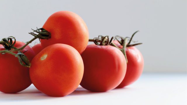 vacuna en jitomates tomates vitamina D