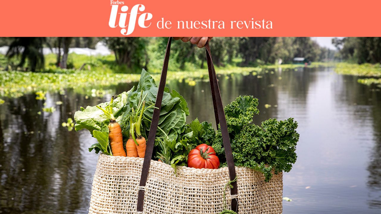 Manifiesto para compradores urbanos: pasos hacia una cocina responsable