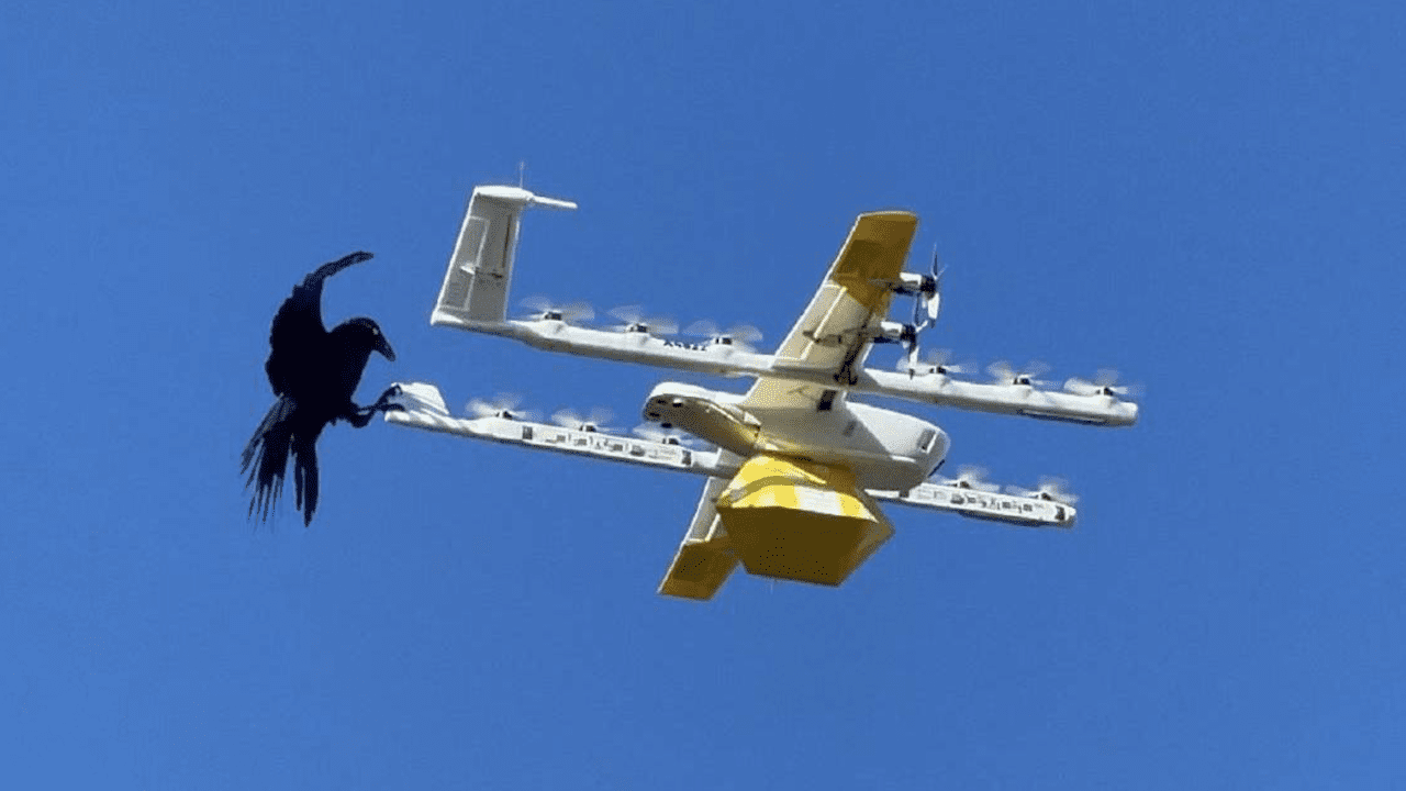 Google detiene entregas con drones tras ataques continuos de aves