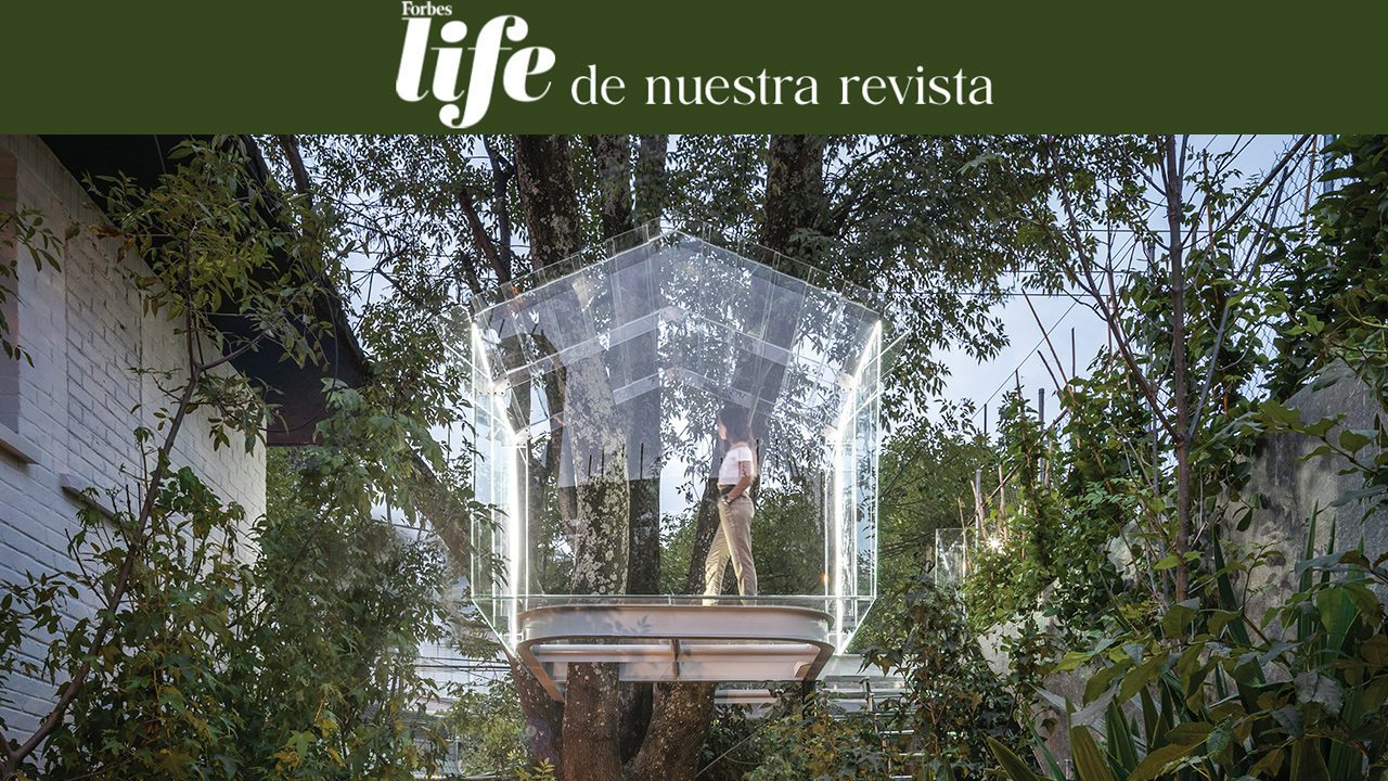 Neuroarquitectura y naturaleza en estado puro