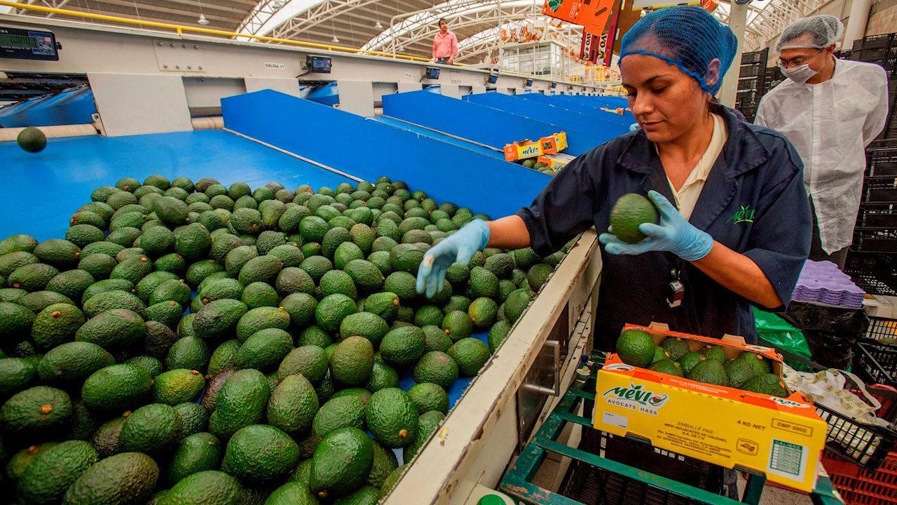 Agro mexicano conquista los mercados más exigentes como el de Japón, destaca la Sader