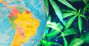 turismo cannábico-cannabis