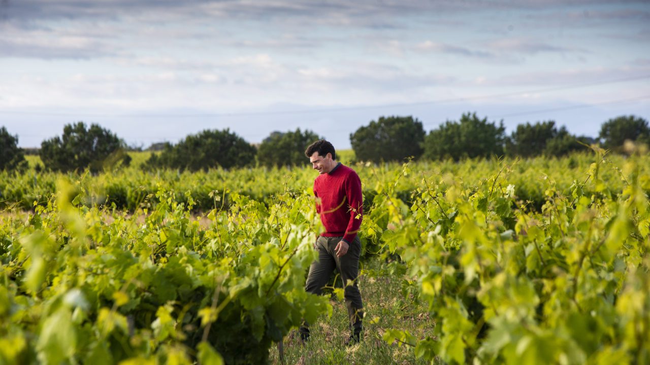 Impulsar la agricultura familiar y conectarla con los mercados, clave para una buena alimentación: FAO