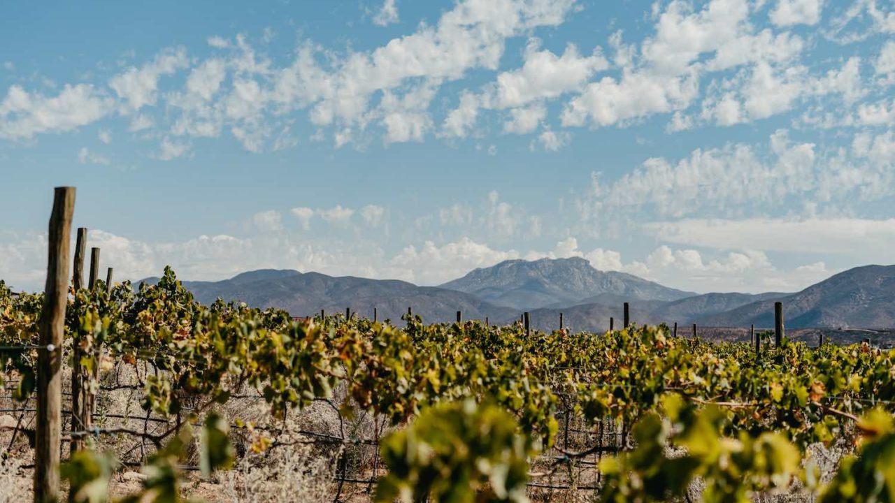 Banyan Tree anuncia próximo resort en el Valle de Guadalupe