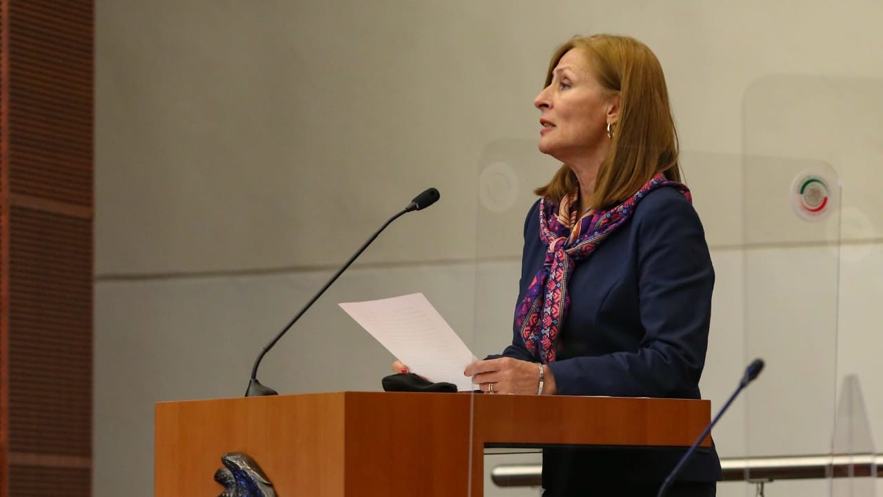 La reforma eléctrica generó nerviosismo, pero no pondremos en tela de juicio la relación con EU: SE