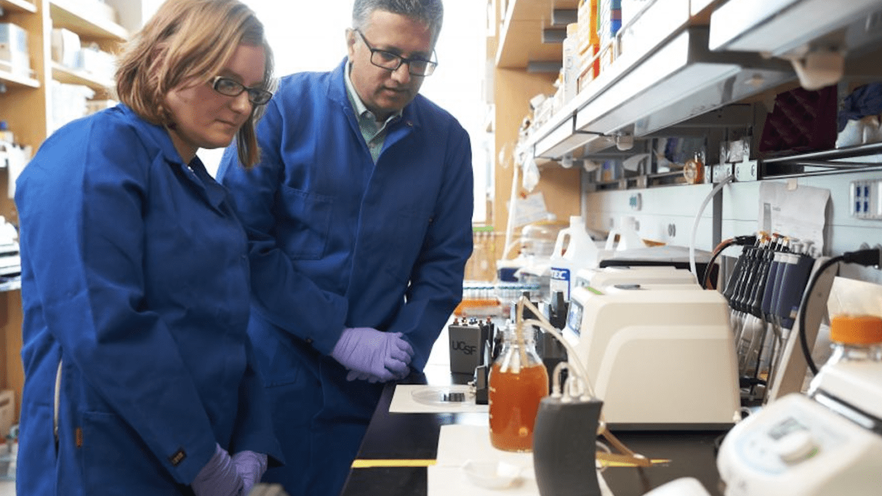Prueban con éxito riñón bioartificial que evitará futuras diálisis