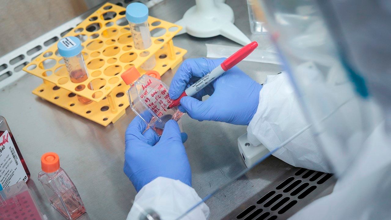 Detectan variante AY.4.2, descendiente de la Delta y que podría ser más contagiosa