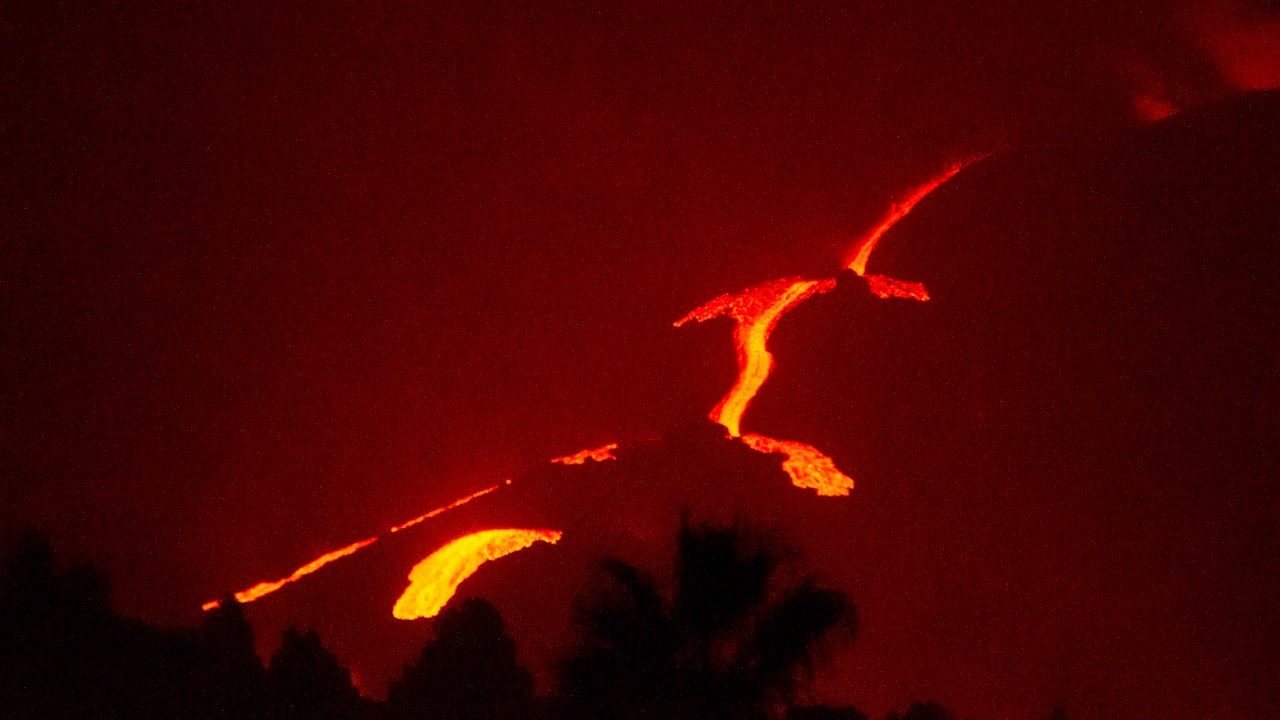 Tratarán de rescatar con drones a perros rodeados por lava en La Palma