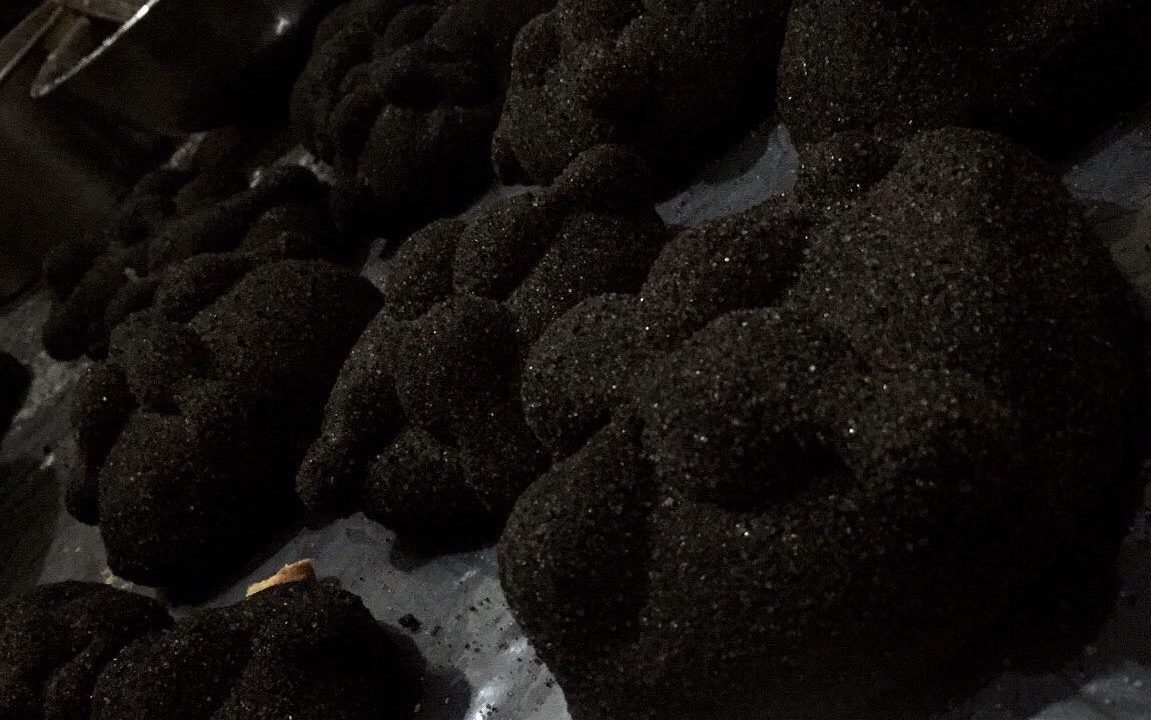 Pan de muerto negro, la tendencia que cautiva esta temporada